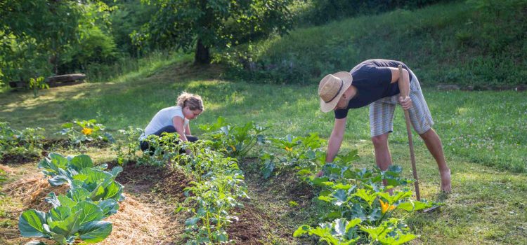 Ou se former à la permaculture en Vendée ?